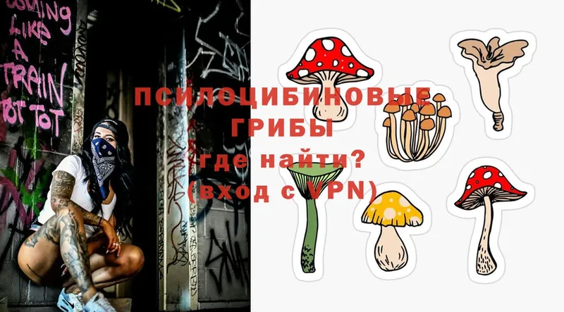 Галлюциногенные грибы Psilocybine cubensis  KRAKEN ТОР  Октябрьский 